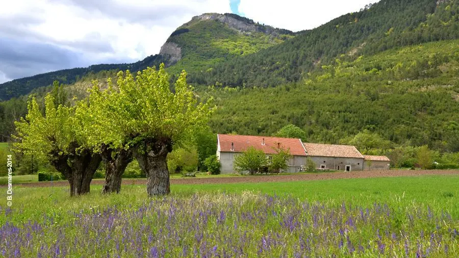 Les bâtiments de notre ancienne ferme depuis le chemin avec la montagne de Solaure en arrière plan