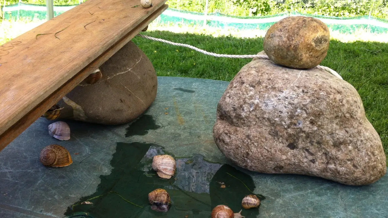 La Ferme aux Escargots d'Arno