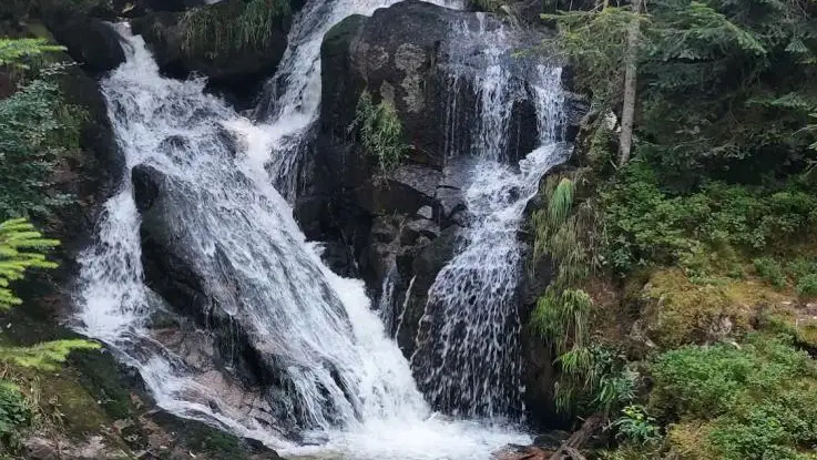 Cascade au milieu de la forêt !
C'est la chute du lit du ruisseau du Noyer (ou Montlaurençon), que vous pourrez contempler à partir du hameau de Bout ou lors d'une balade pittoresque et sauvage sur les circuits balisés n°27 (Cascade Bout et Pierre des fées) ou n°31 (Le puy du Montoncel).
La Croix de Meaux à proximité a été érigée pour la protection des travailleurs de la forêt par la famille de Meaux.Une belle cascade au milieu de la forêt !
C'est la chute du lit du ruisseau du Noyer (ou Montlaurençon), que vous pourrez contempler à partir du hameau de Bout ou lors d'une balade pittoresque et sauvage sur les circuits balisés n°27 (Cascade Bout et Pierre des fées) ou n°31 (Le puy du Montoncel).