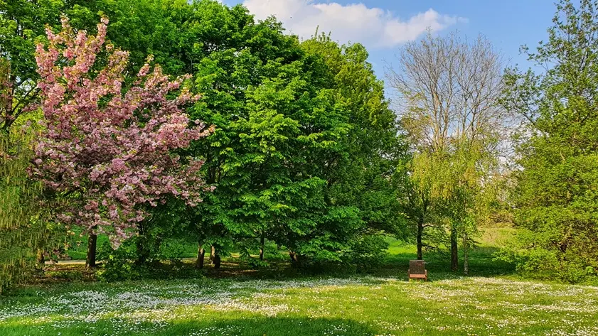 Parc départemental de L'Île-Saint-Denis