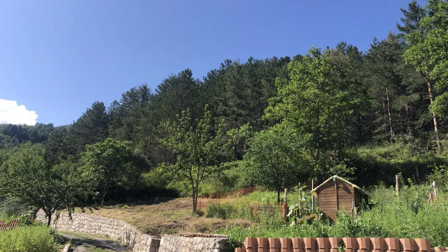 Gîte du Grand Braquet-Fôret-Puget-Théniers-Gîtes de France des Alpes-Maritimes