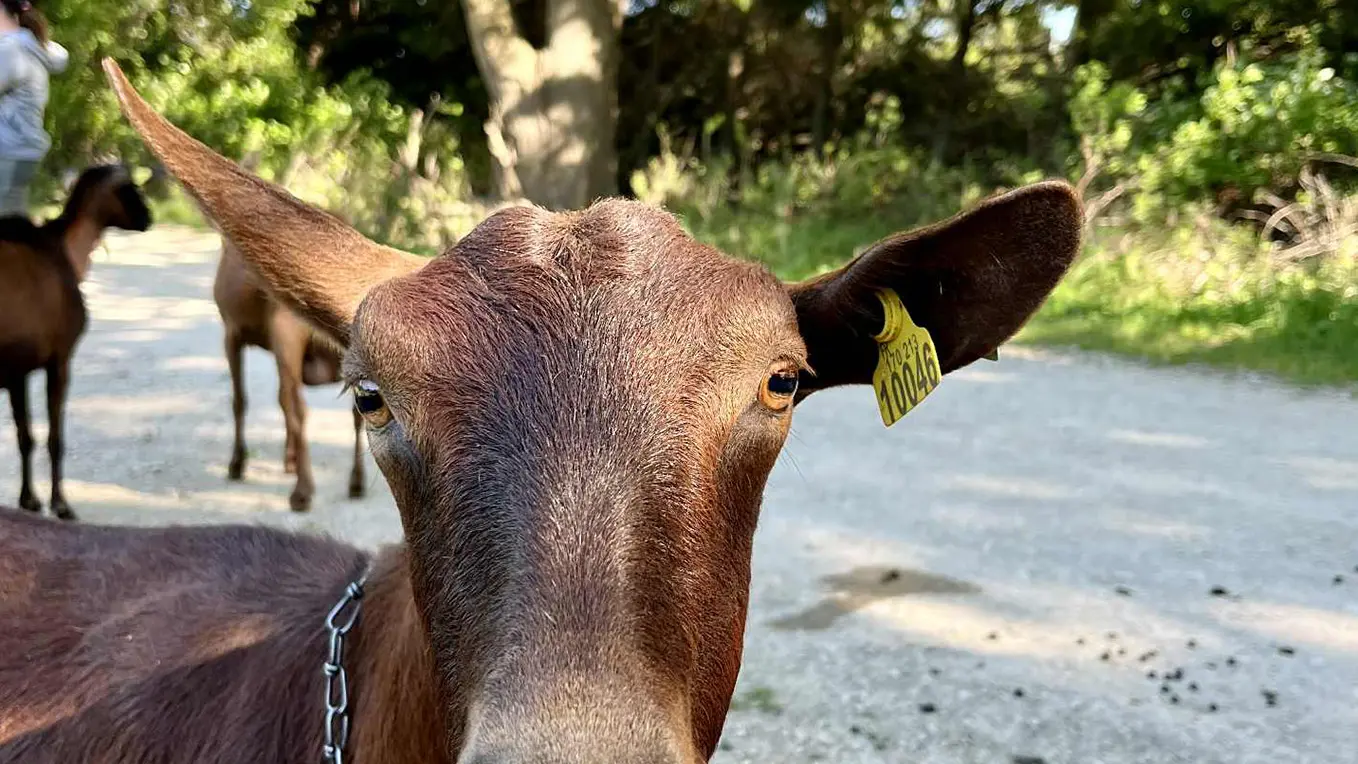 Terroir à vélo_Saint-Rémy-de-Provence
