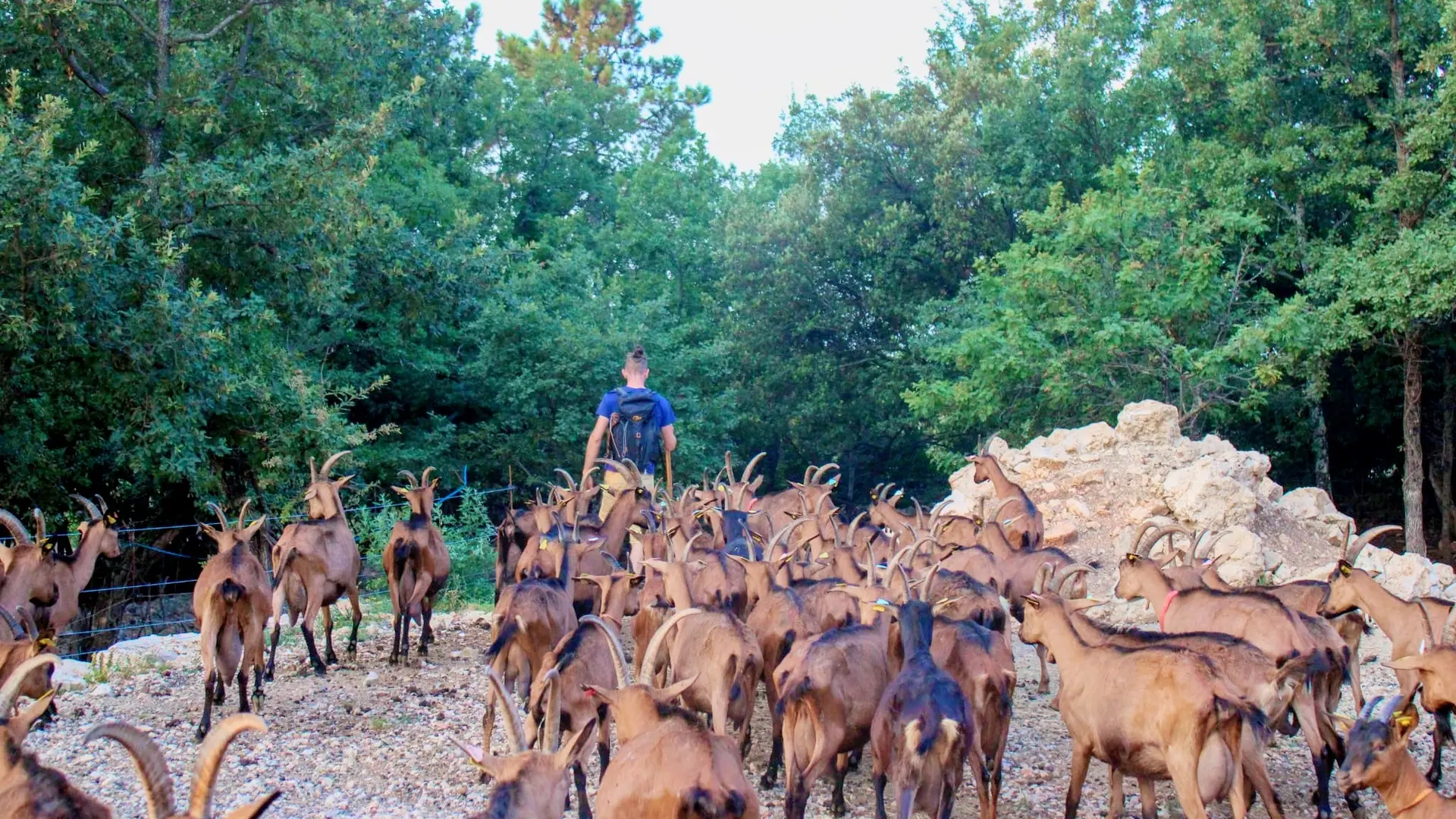 La Chèvrerie Monsoise_Mons