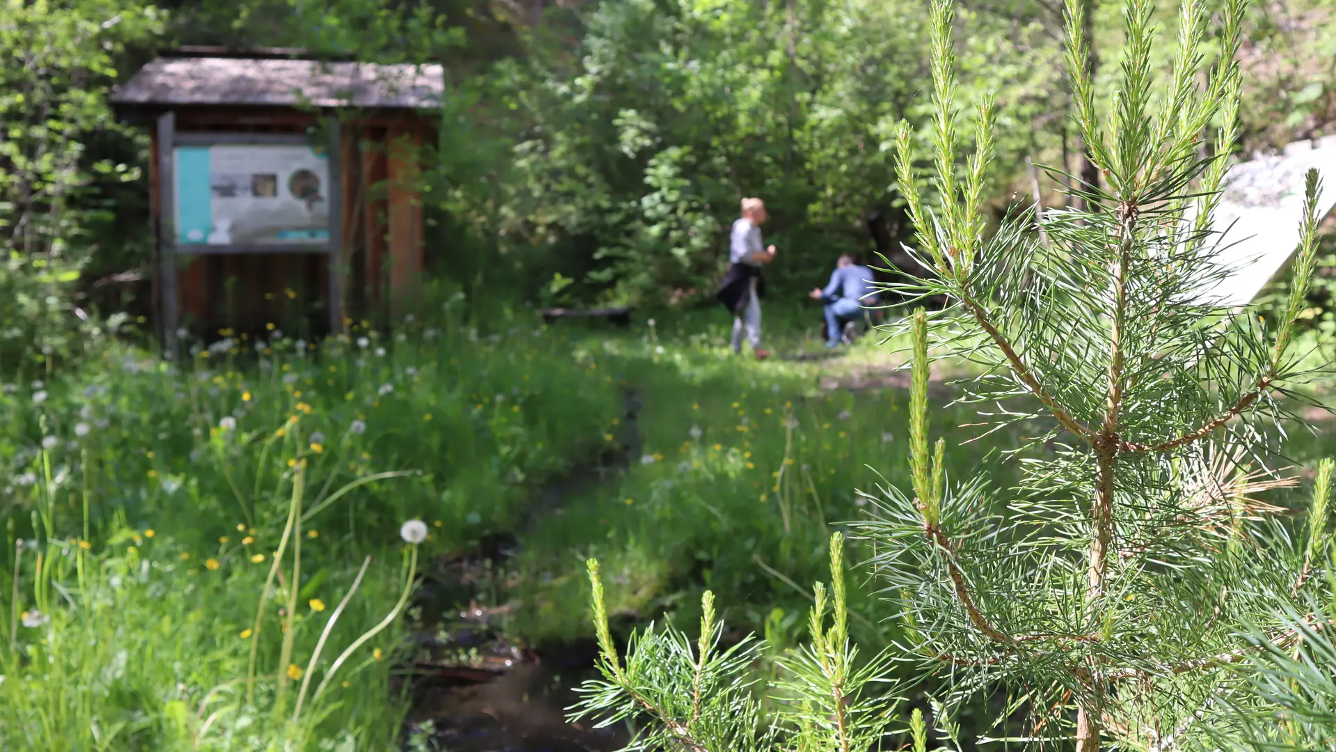 Le sentier des mineurs passe par la mine de la Cabane qui se visite avec accompagnateur.