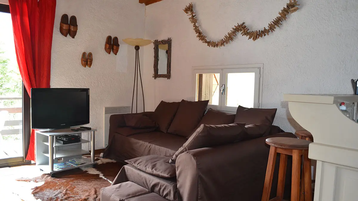 séjour lumineux avec canapé, télévision, fenêtre et porte-fenêtre sur terrasse