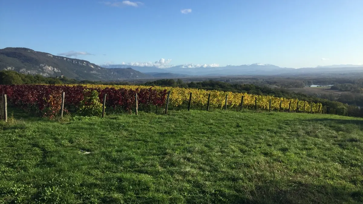 Promenade le long du Rhône situé à 3' du gite