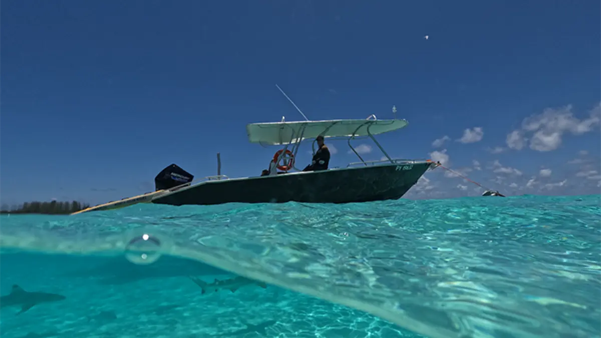 Moorea Ocean Riders