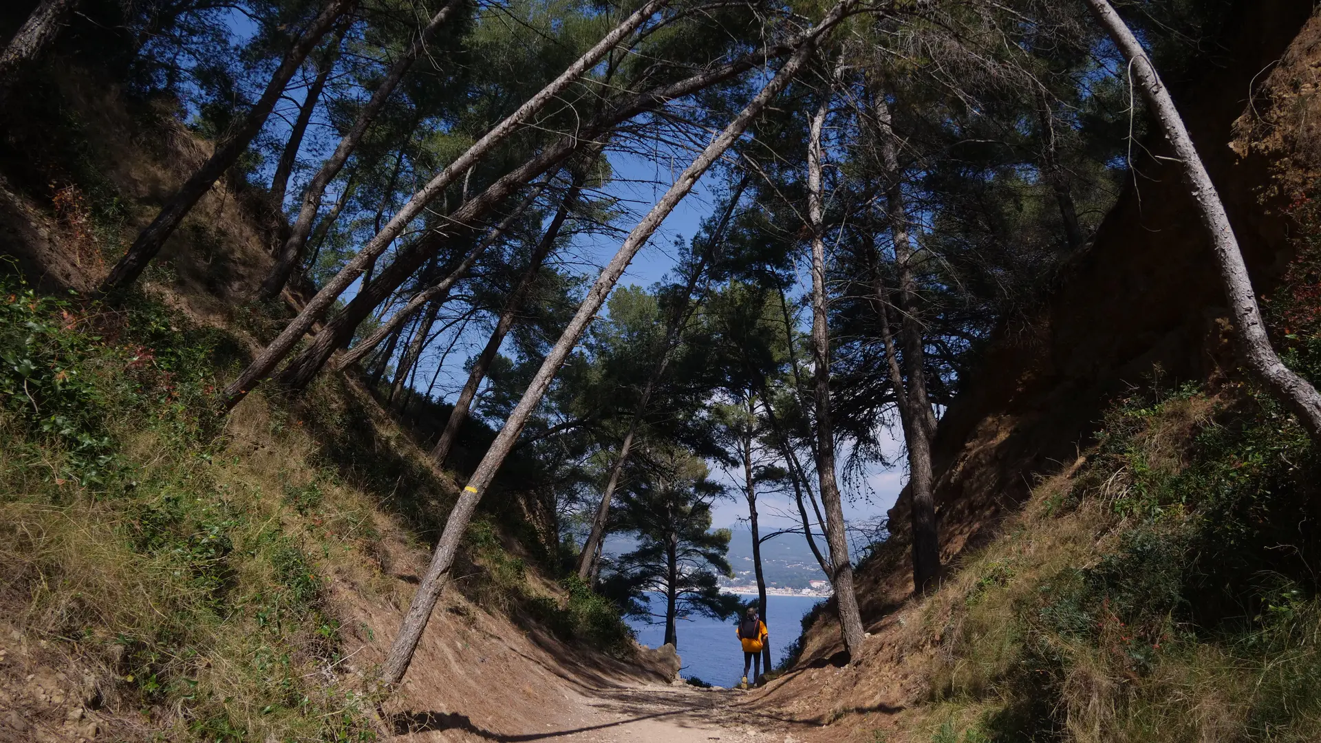 Le sentier patrimonial de la Pointe Grenier
