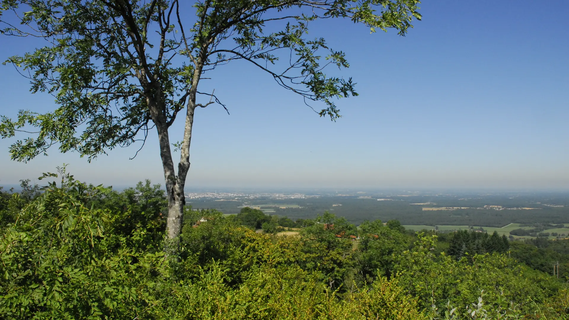 Randonnée Les Conches