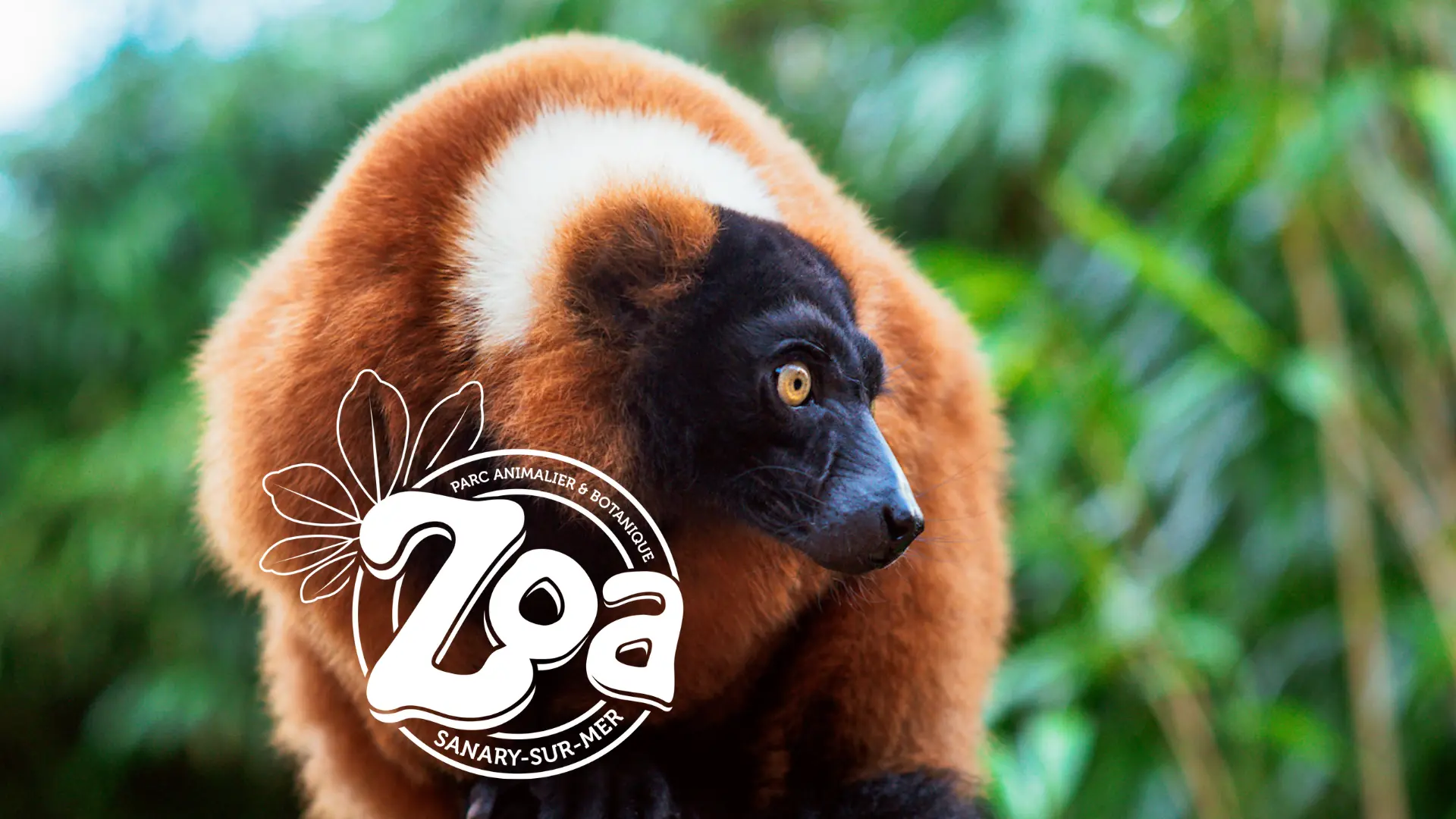Zoa Parc animalier et botanique