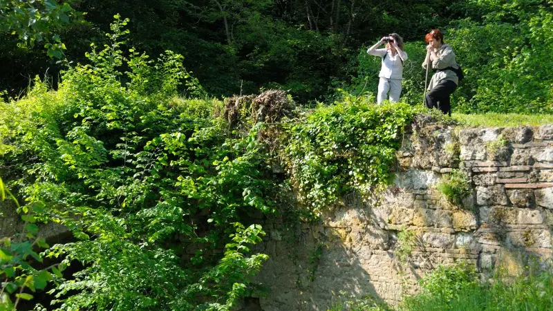 Idées de ballades dans nos villages et Campagnes