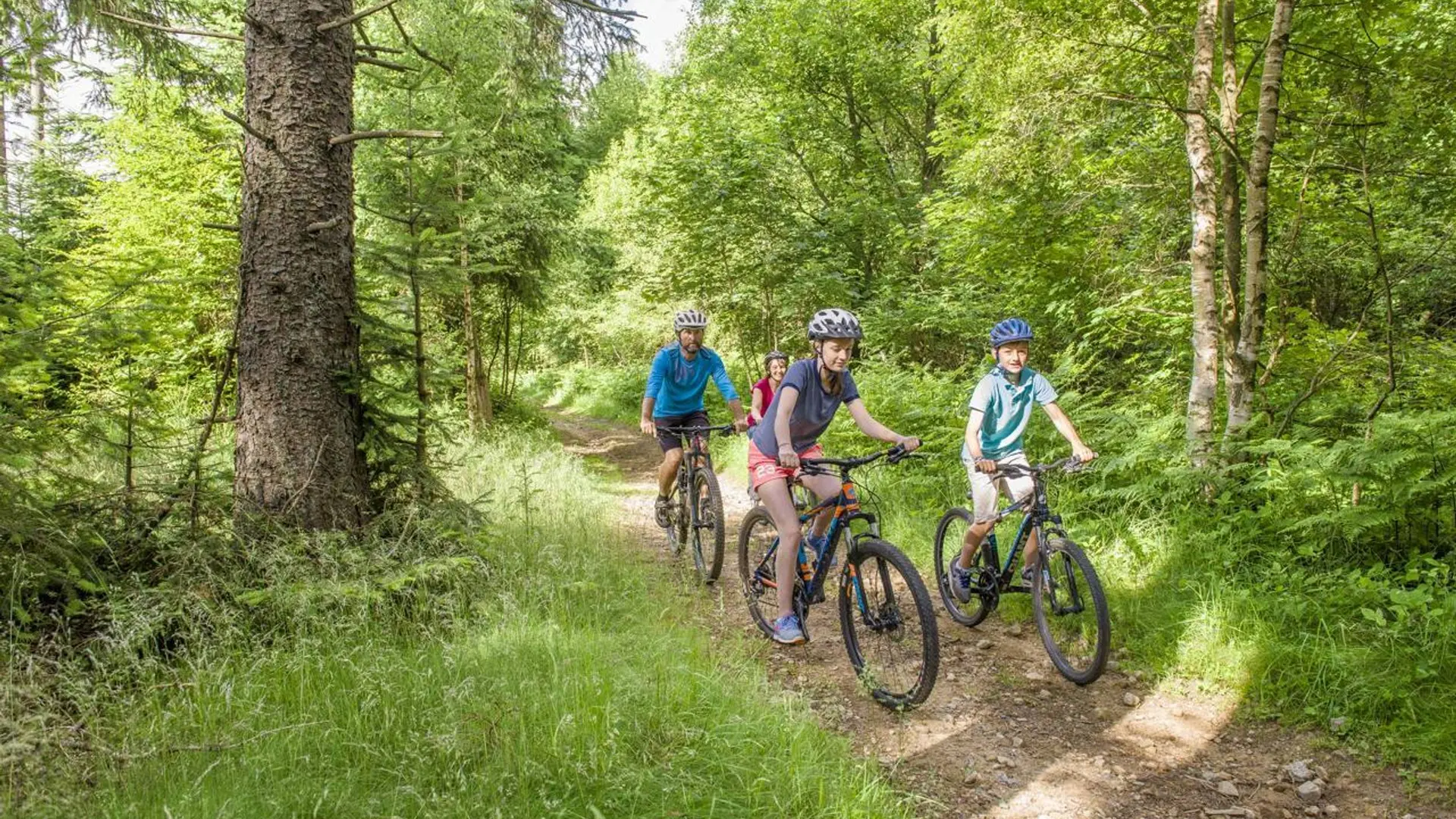 La famille trace son chemin dans les bois