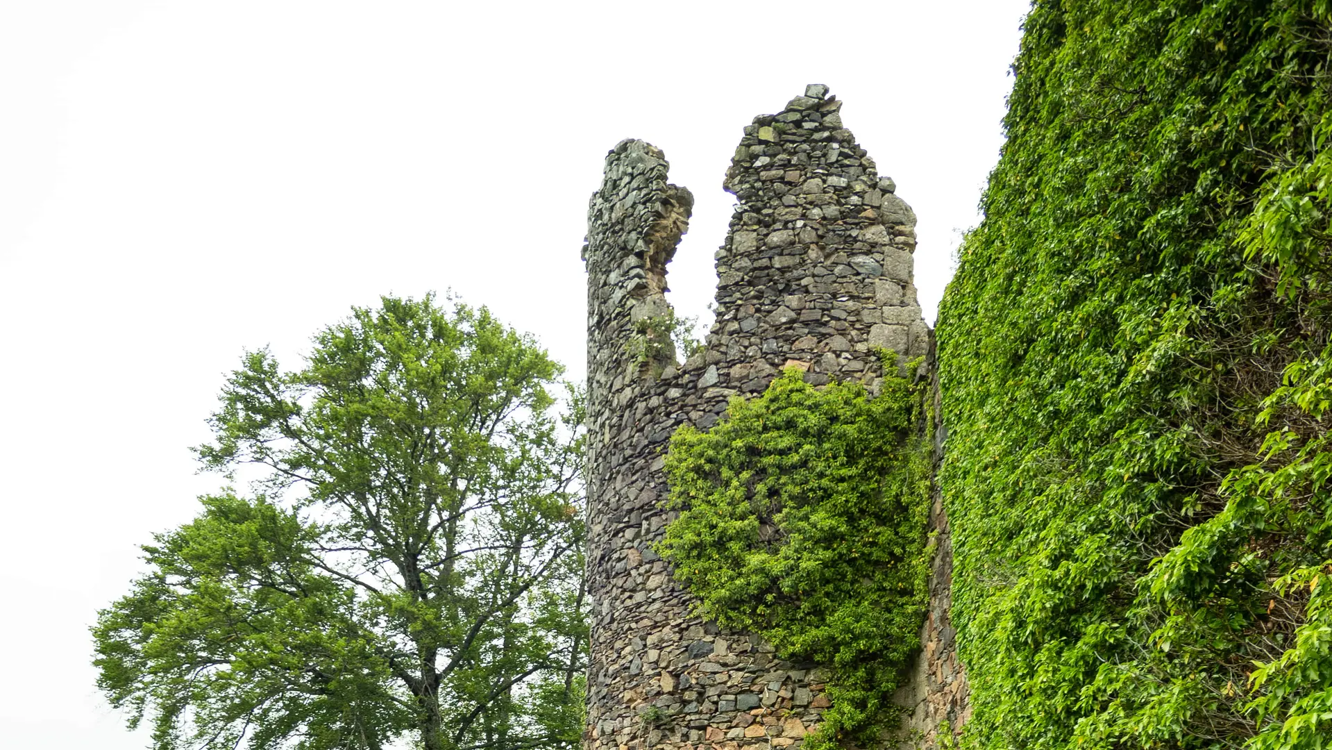 Le Château de Montgilbert à Ferrières-sur-Sichon