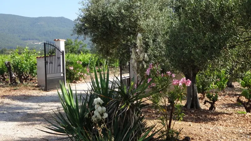 Bienvenue à la Campagne