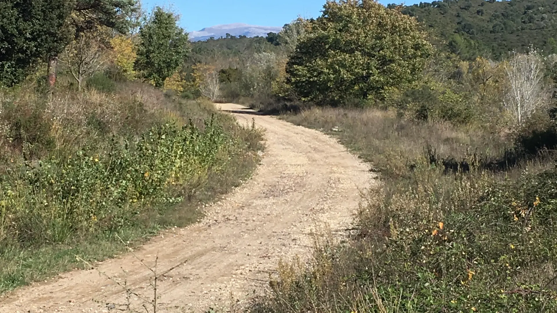 Chemin
