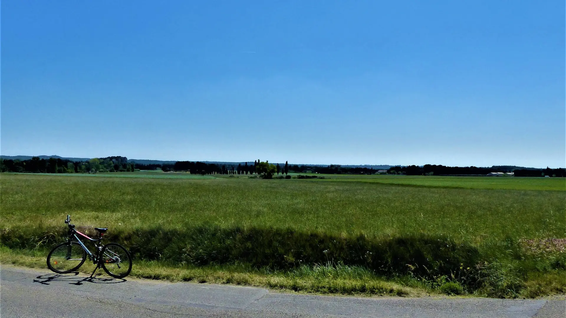 La plaine de Maussane-les-Alpilles