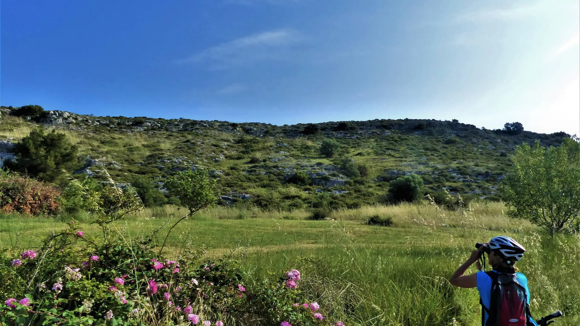 Observation d'oiseaux, colline de la Pécoule