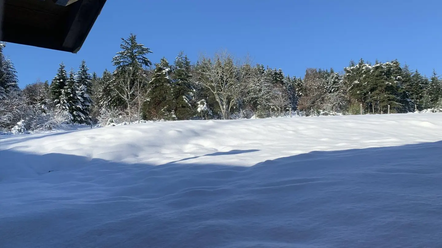 Le terrain du gite sous la neige