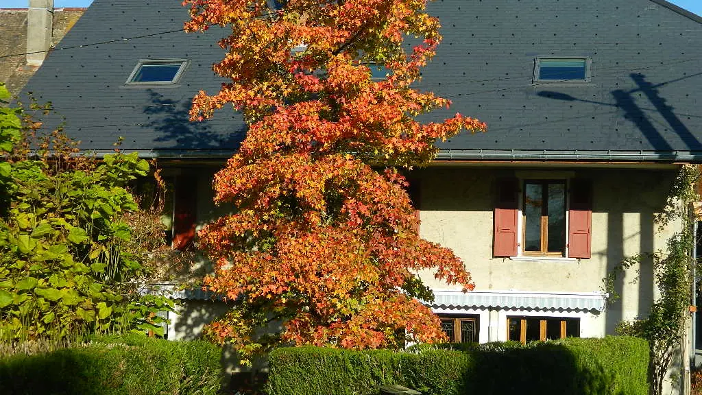 La Maison de Marie_Doussard