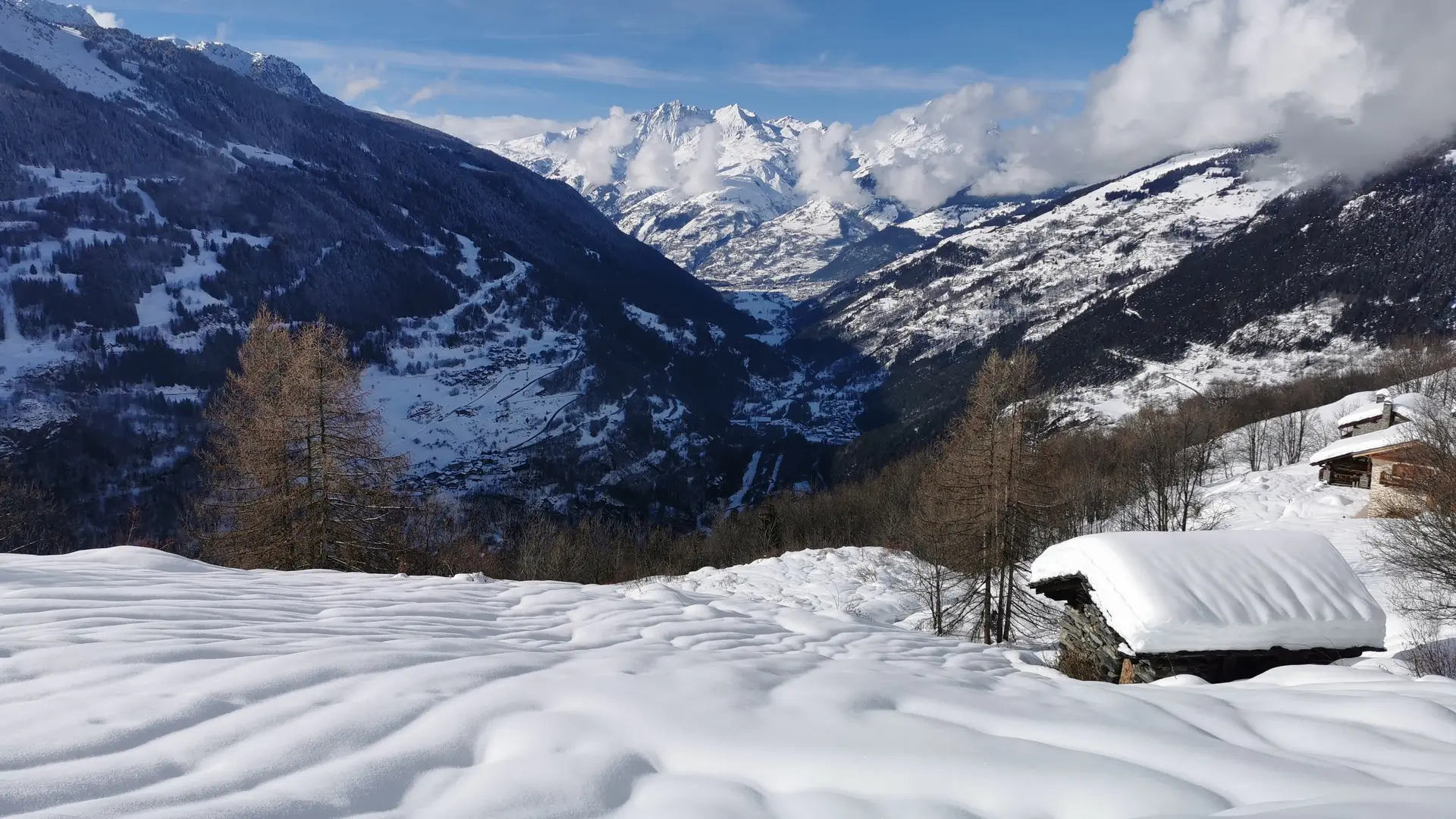 Panorama