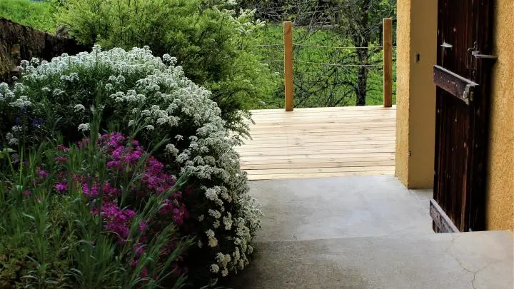 Chemin d'accès au gîte