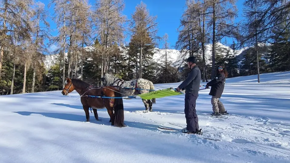 Provence Equiservices