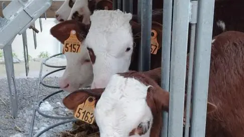 Nous sommes présents seulement d'octobre à mai