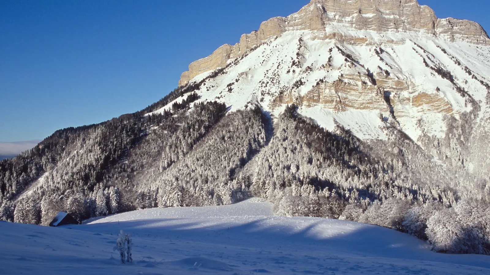 CHAMECHAUDE HIVER