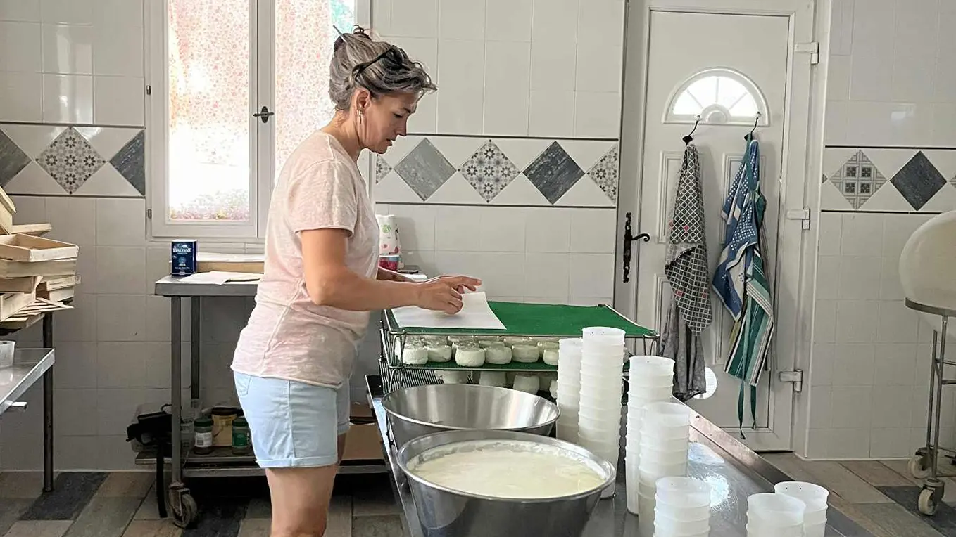 Terroir à vélo_Saint-Rémy-de-Provence