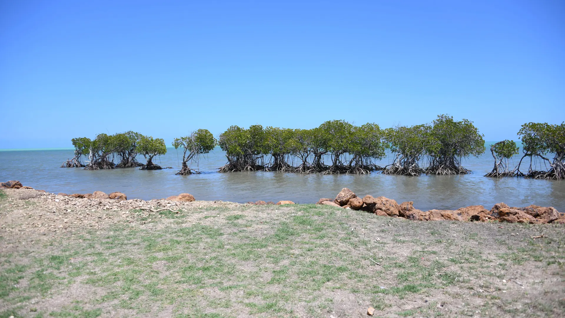 plage, mangrove, franco, pouembout, espace de l'Ouest