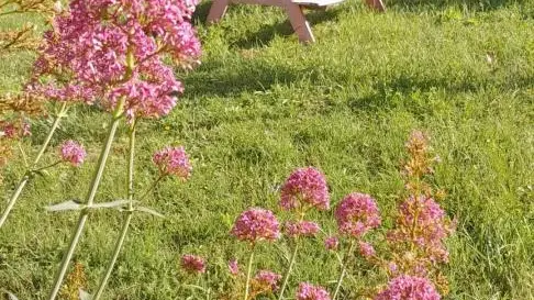 le jardin coté sud au printemps , table enfants