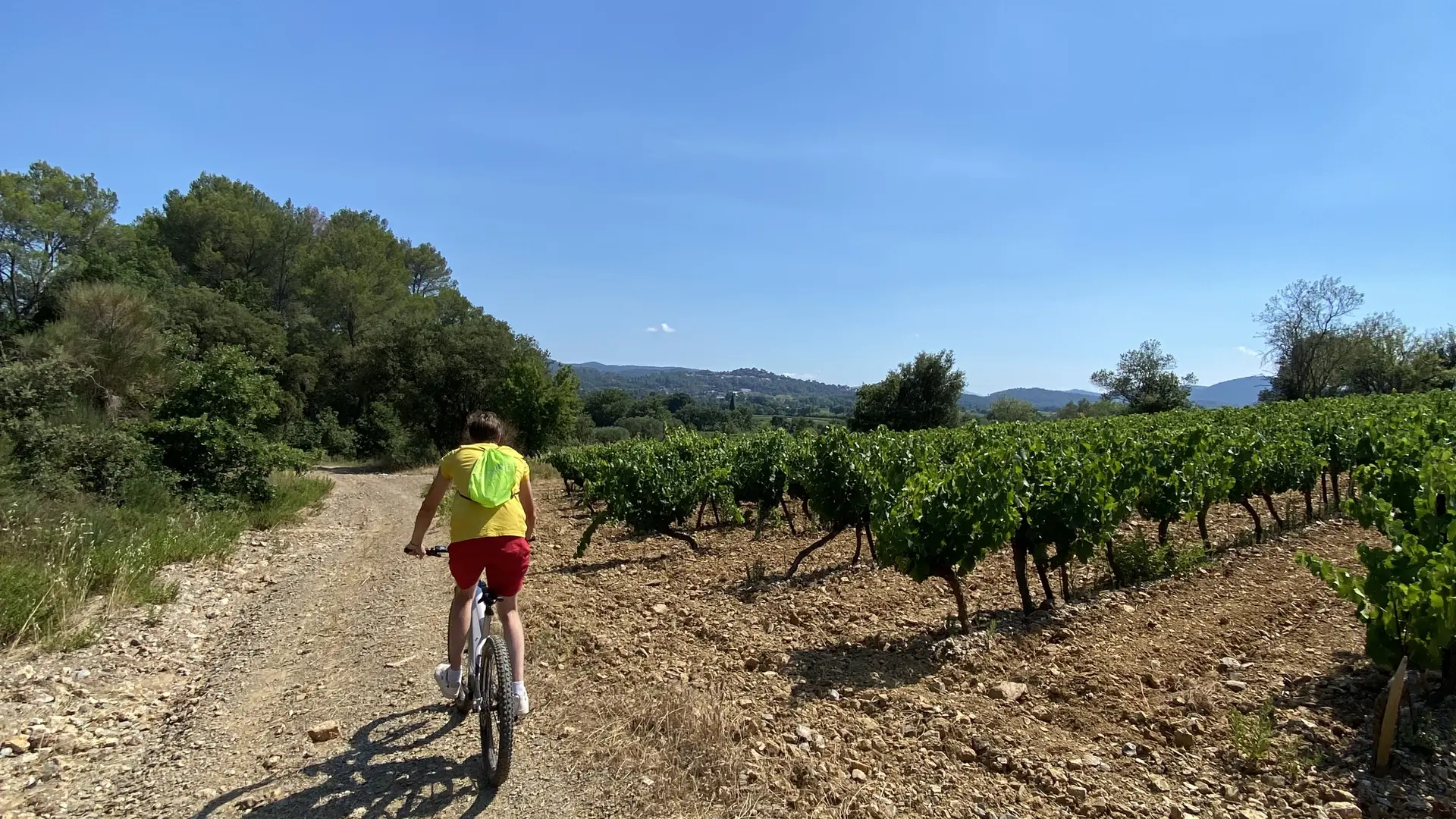 Balade à VTT électrique avec Quad Var  et dégustation de vins au Château de L'aumérade