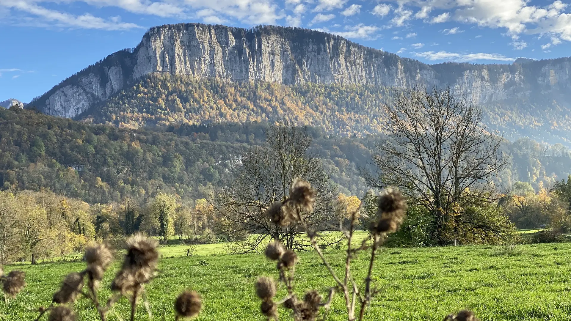 Vue sur le massif de Chartreuse