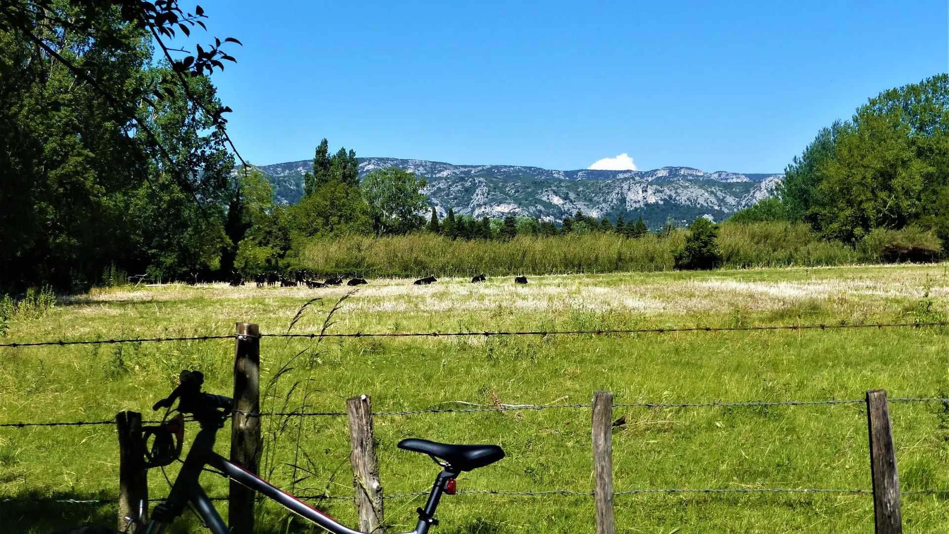 Manade au pied du Petit Luberon