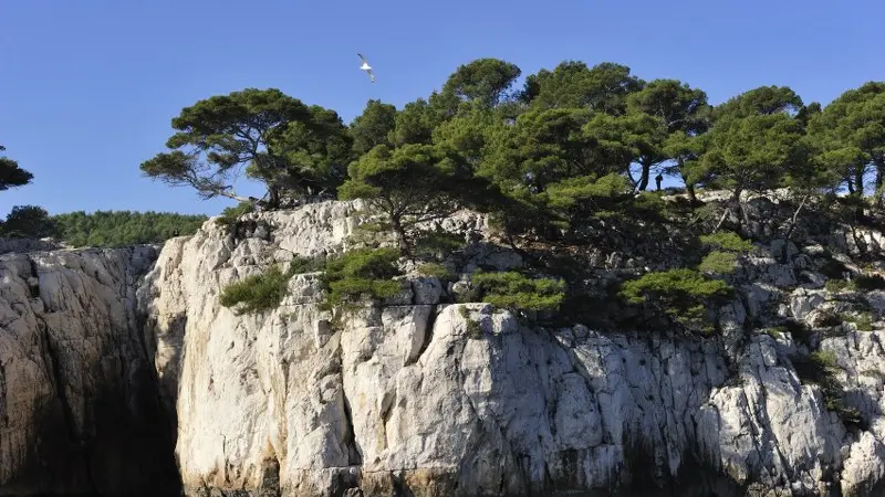 Visite des calanques avec la Croix du Sud