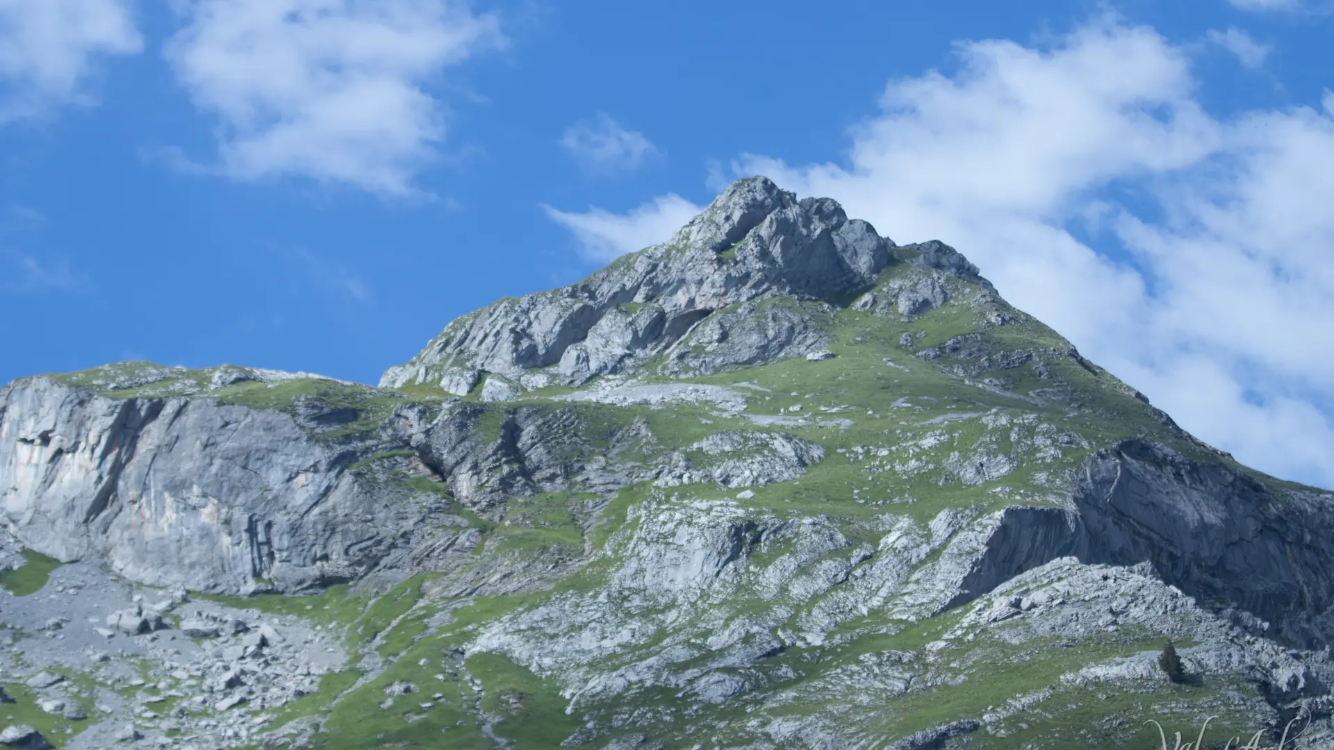 Pététruy