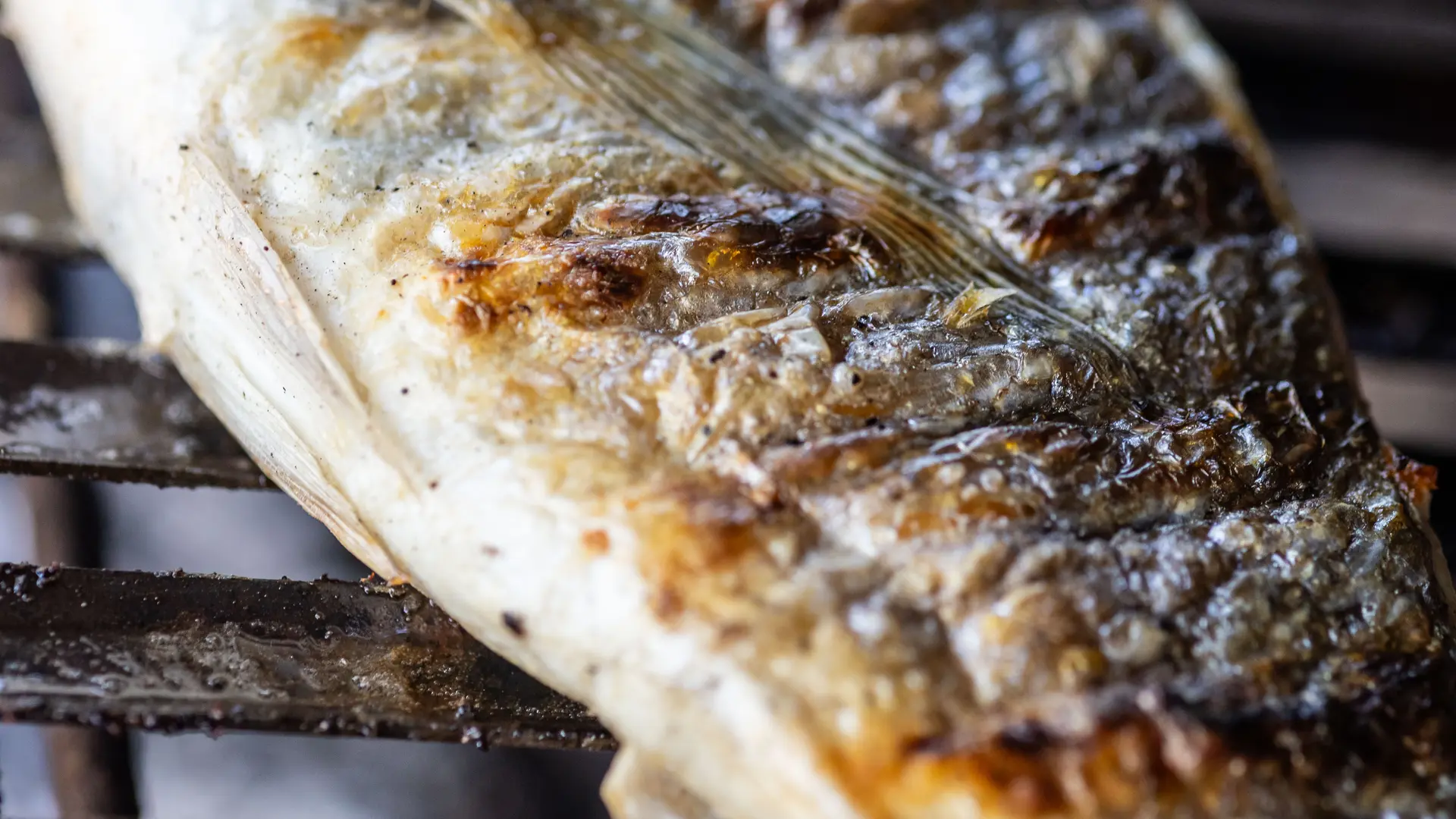 Poisson grillé - restaurant l'Assiette au cœur des vignes à Figuière à La Londe les Maures