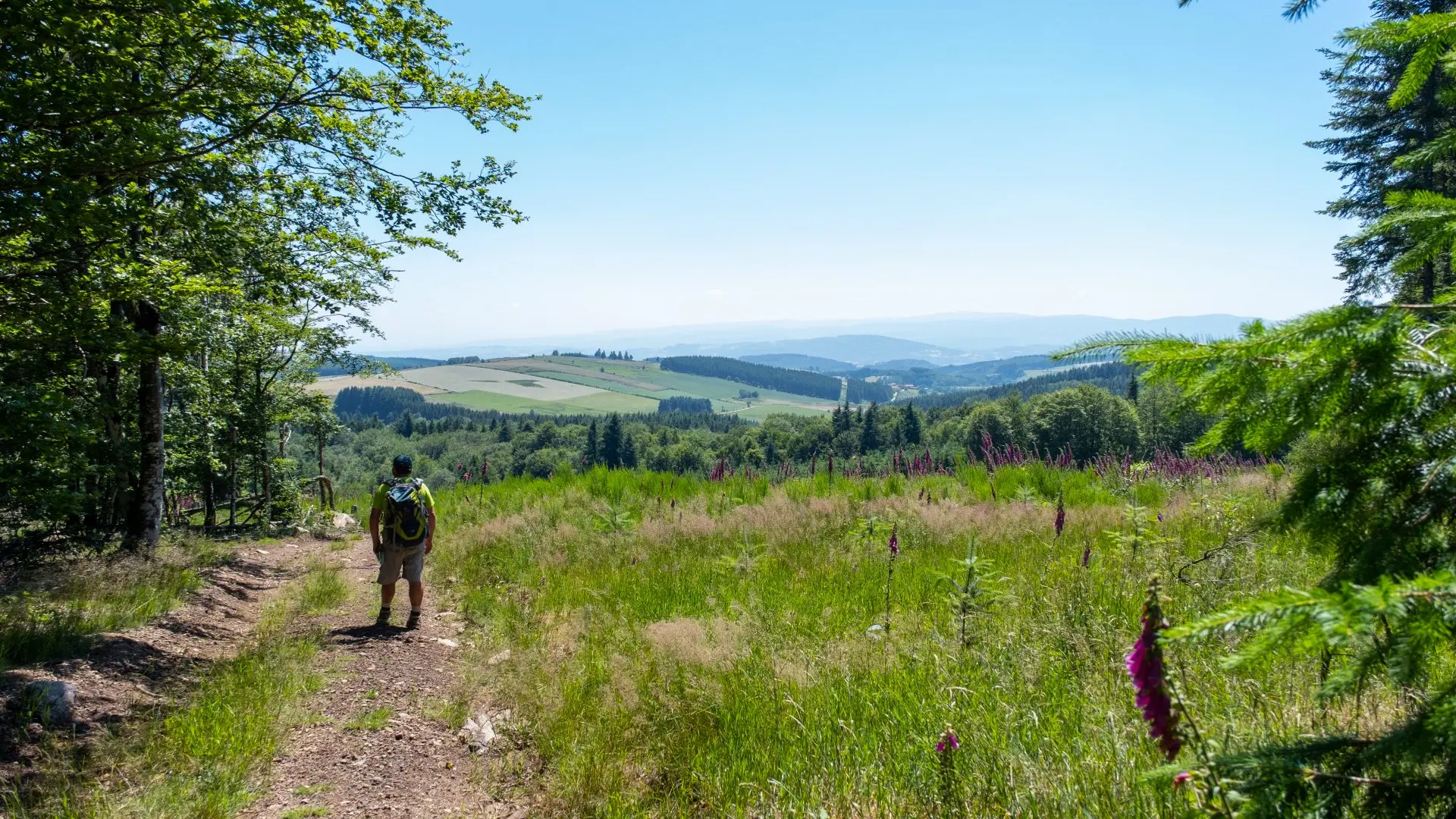 Itinérance au cœur des Monts de la Madeleine_Saint-Alban-les-Eaux