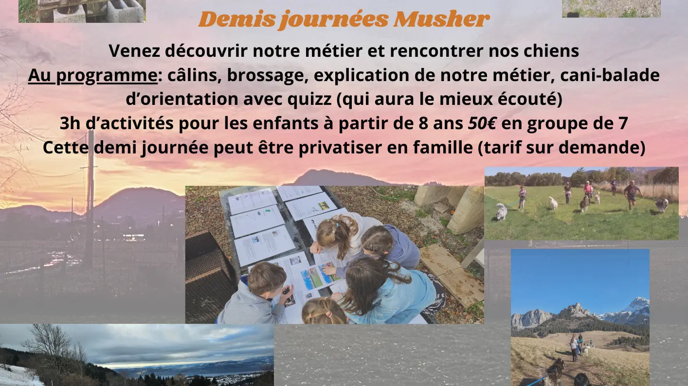 Flyers du prestataire