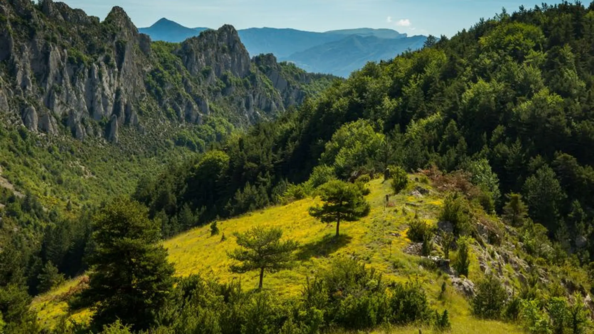 Point de vue verdoyant du Serrois