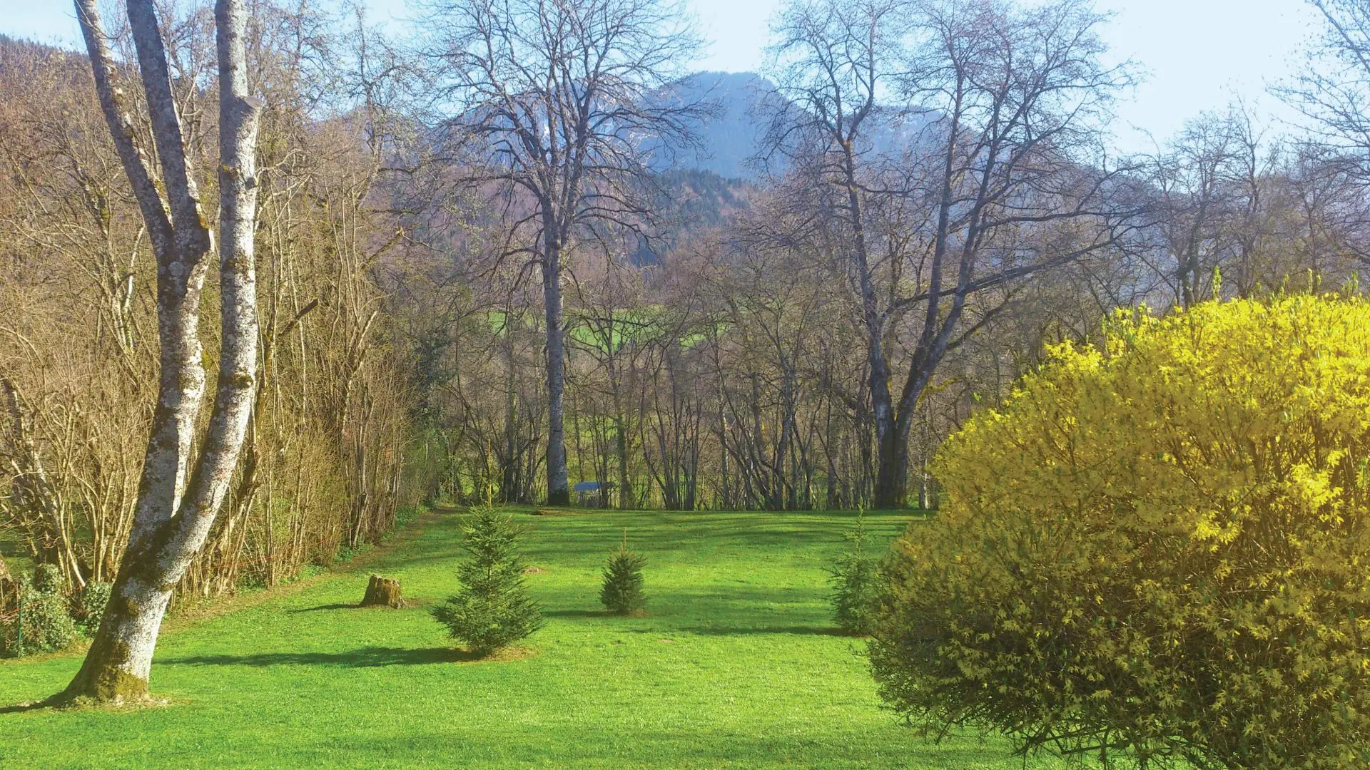 le parc arboré. Plusieurs tables et salons de jardin à disposition.