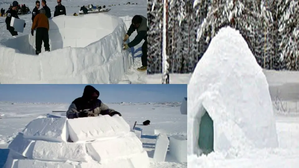 Activités neige Igloo