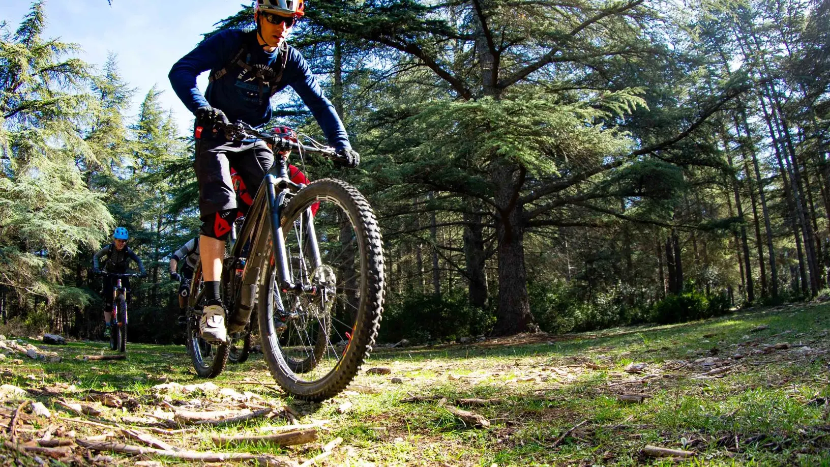 Forêt des Cèdres - ebike