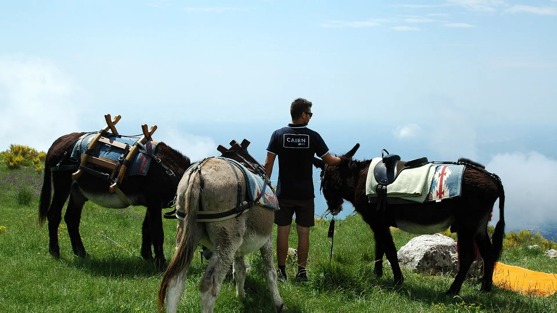 Randonnée avec les ânes