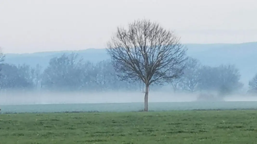Vue de Noailly