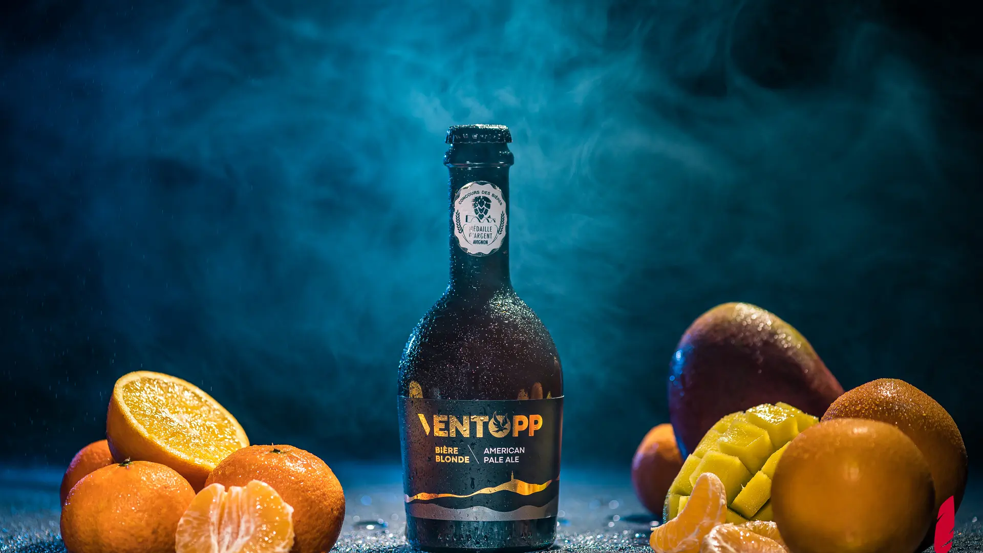 Réalisation de photographies pour les produits Ventopp