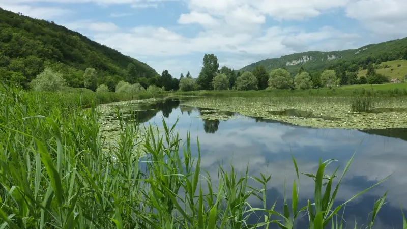 Lac de Millieu et marais du Vernay