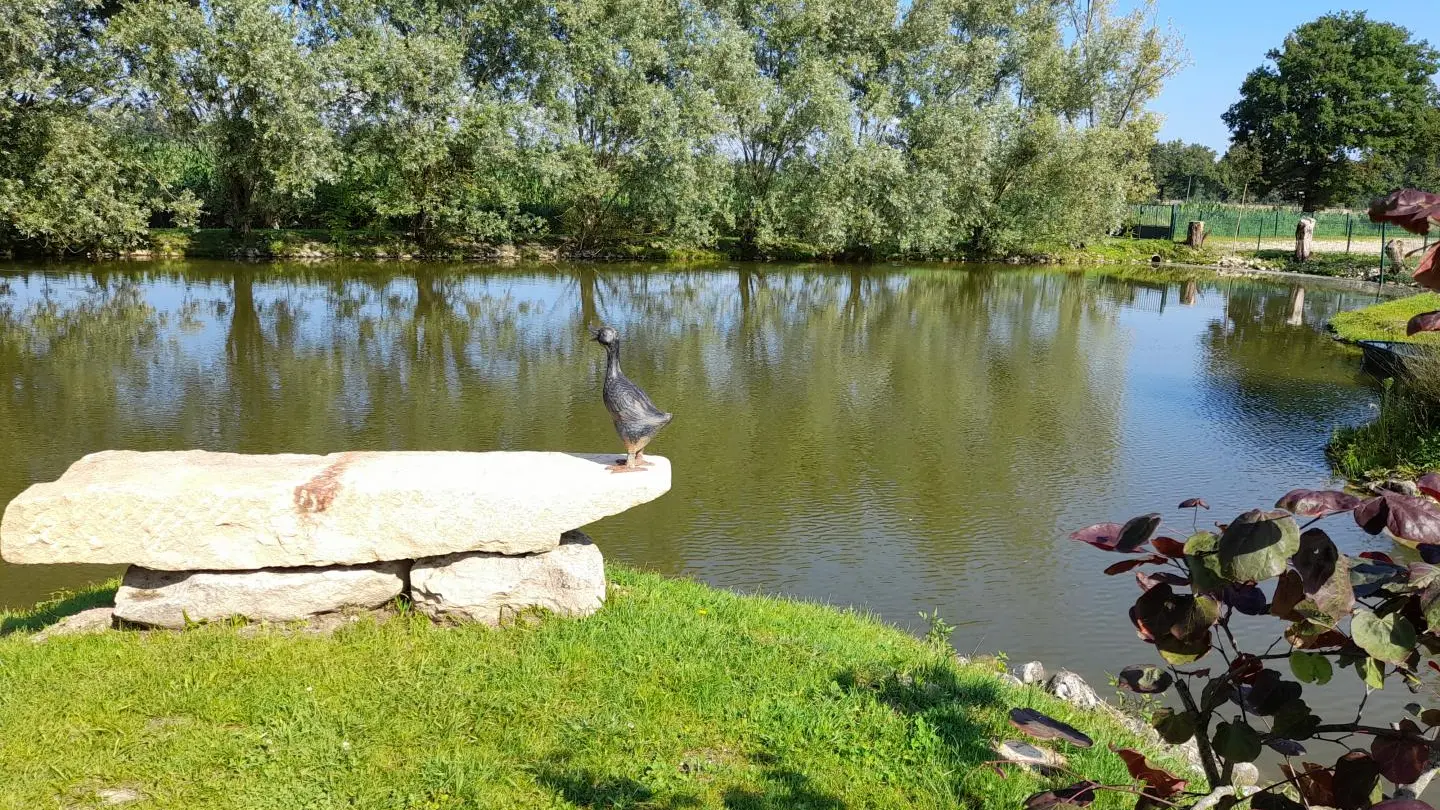 L'été...l'étang...