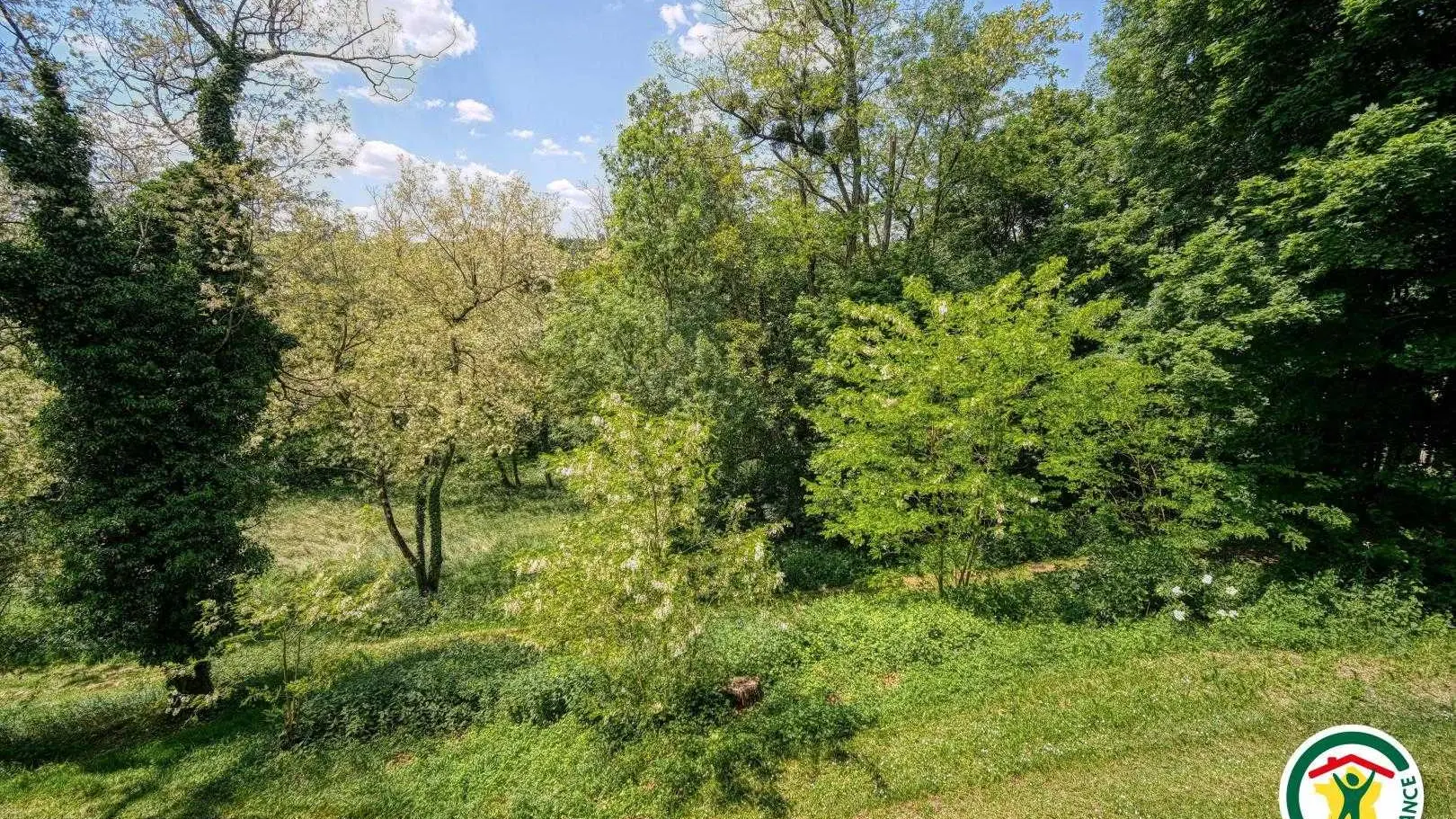 Le jardin