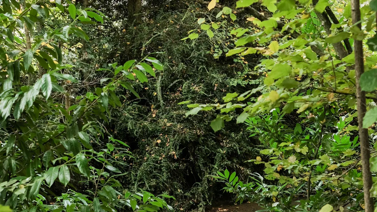 côté nature